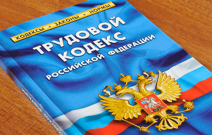 Трудовое право в фокусе социальной устойчивости